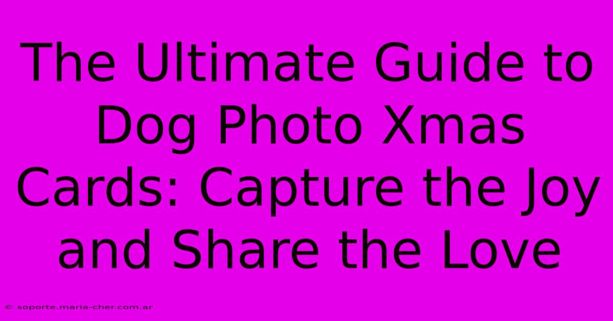 The Ultimate Guide To Dog Photo Xmas Cards: Capture The Joy And Share The Love