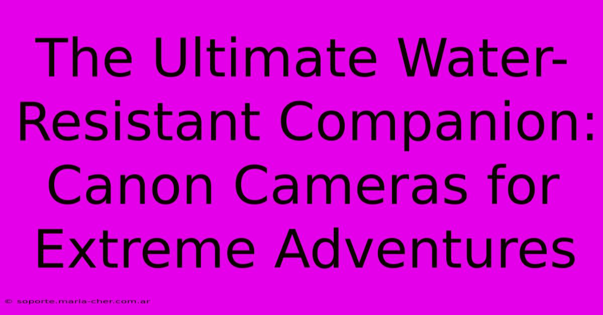 The Ultimate Water-Resistant Companion: Canon Cameras For Extreme Adventures