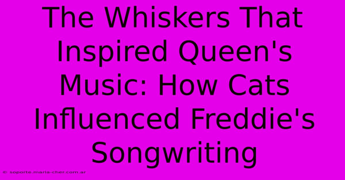 The Whiskers That Inspired Queen's Music: How Cats Influenced Freddie's Songwriting