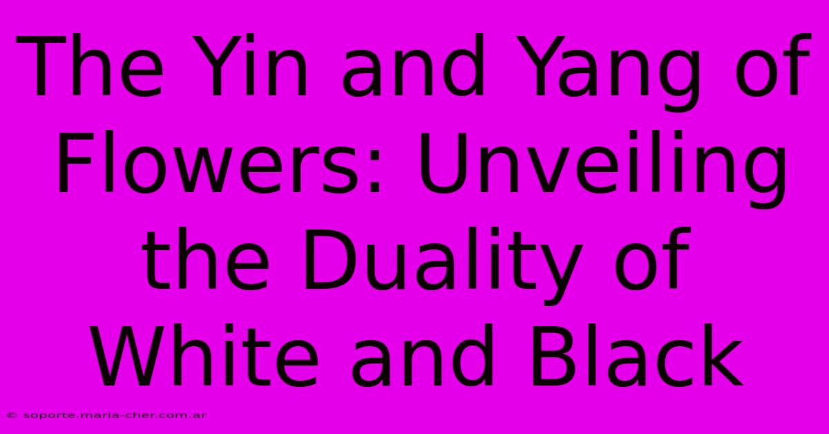 The Yin And Yang Of Flowers: Unveiling The Duality Of White And Black