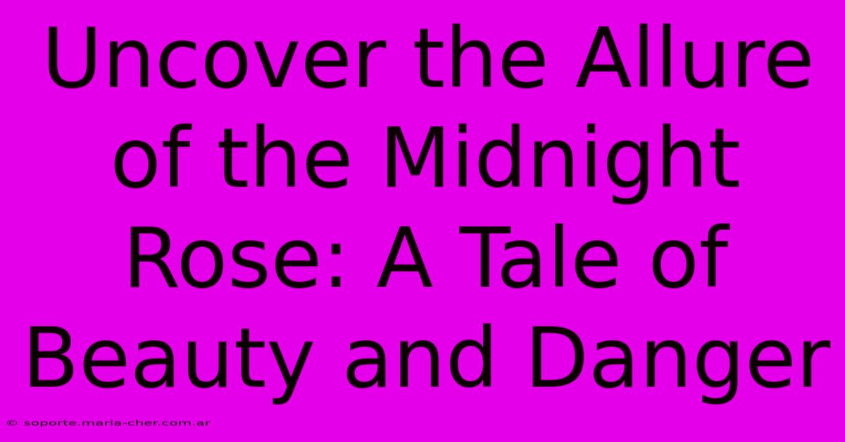 Uncover The Allure Of The Midnight Rose: A Tale Of Beauty And Danger