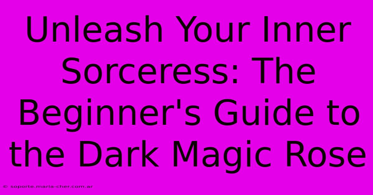 Unleash Your Inner Sorceress: The Beginner's Guide To The Dark Magic Rose