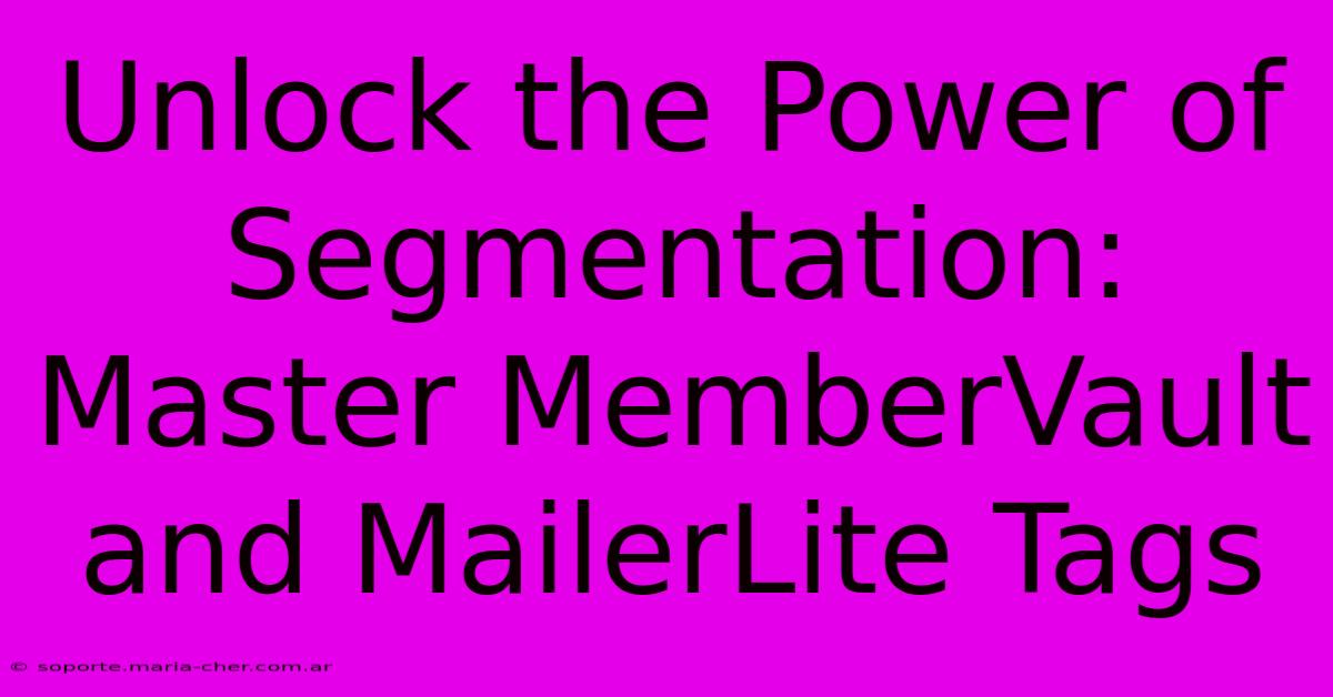 Unlock The Power Of Segmentation: Master MemberVault And MailerLite Tags