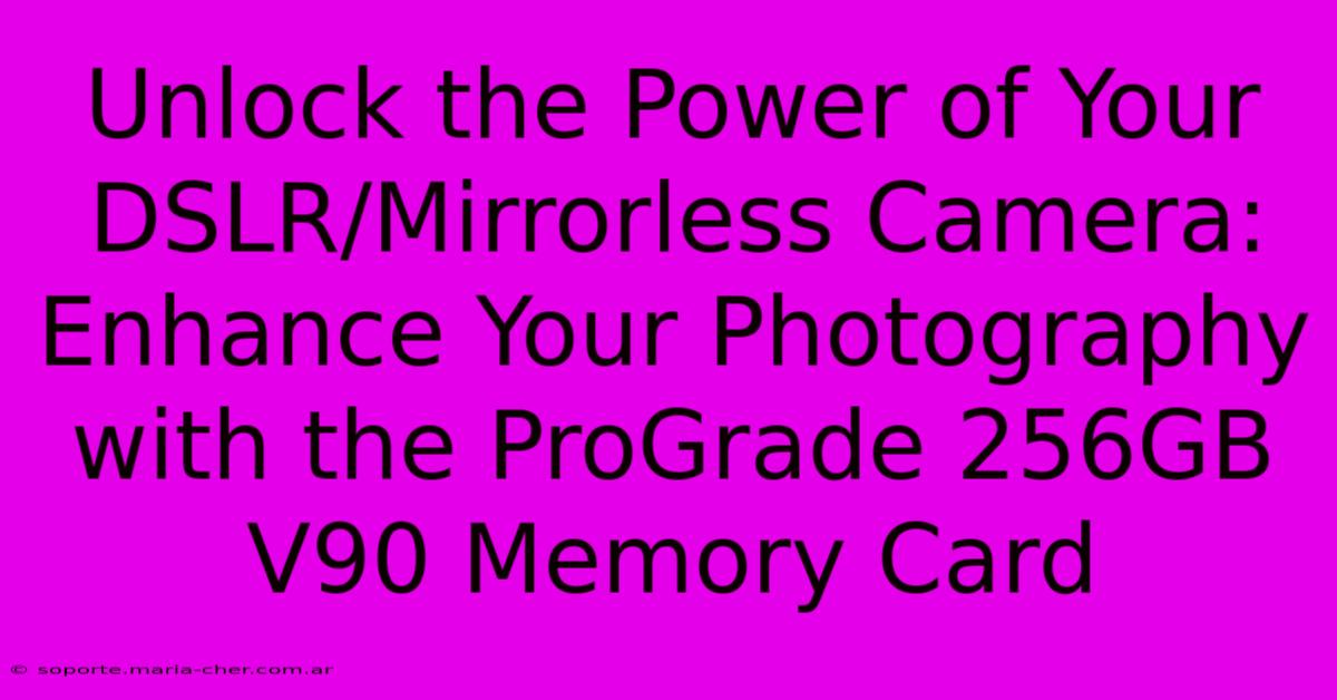 Unlock The Power Of Your DSLR/Mirrorless Camera: Enhance Your Photography With The ProGrade 256GB V90 Memory Card