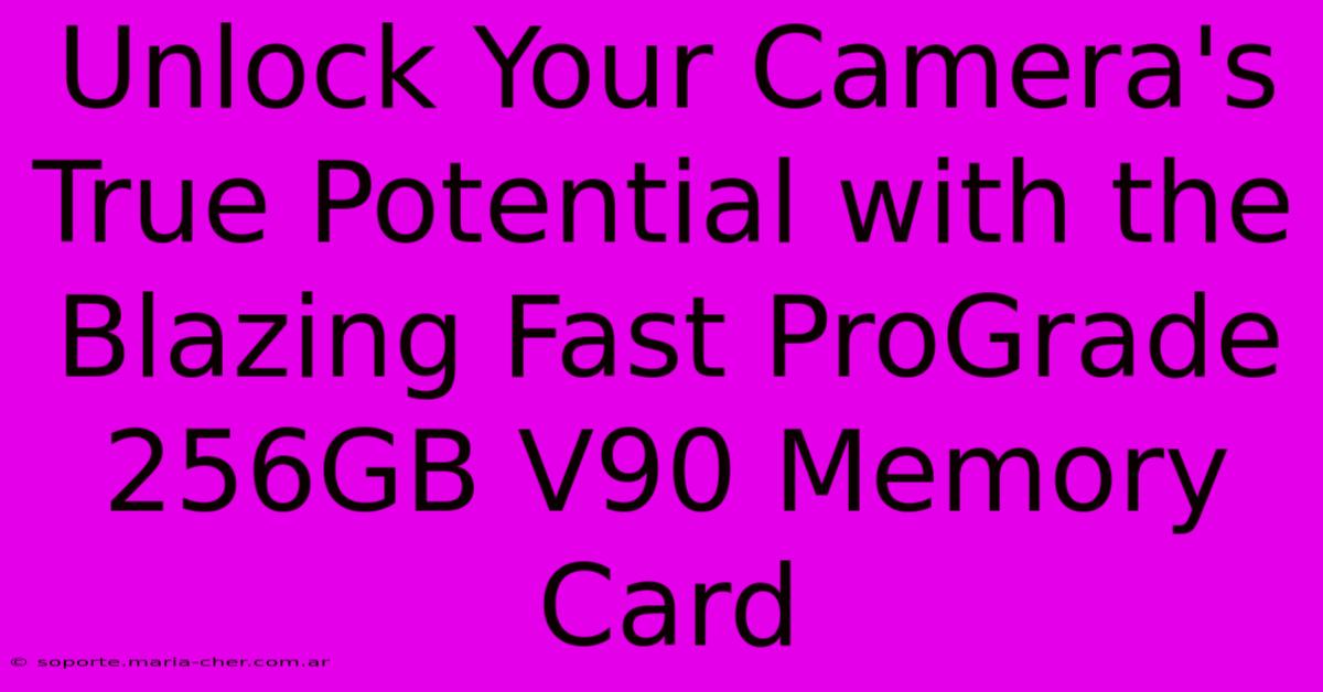 Unlock Your Camera's True Potential With The Blazing Fast ProGrade 256GB V90 Memory Card