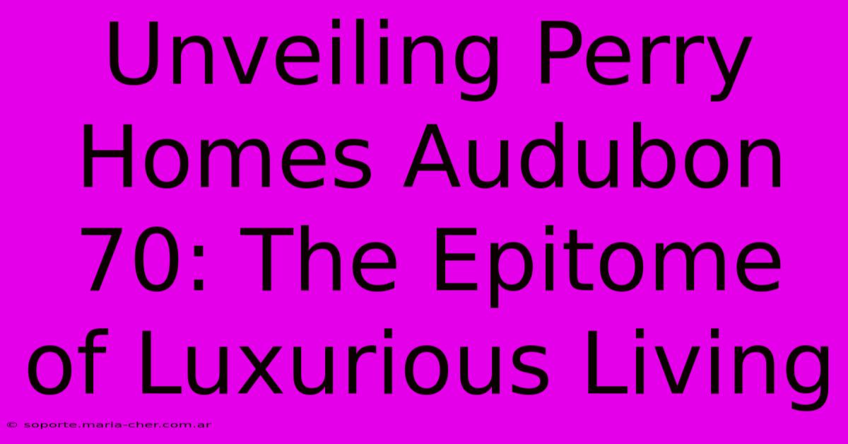 Unveiling Perry Homes Audubon 70: The Epitome Of Luxurious Living