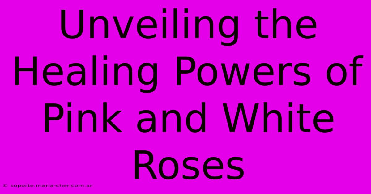 Unveiling The Healing Powers Of Pink And White Roses