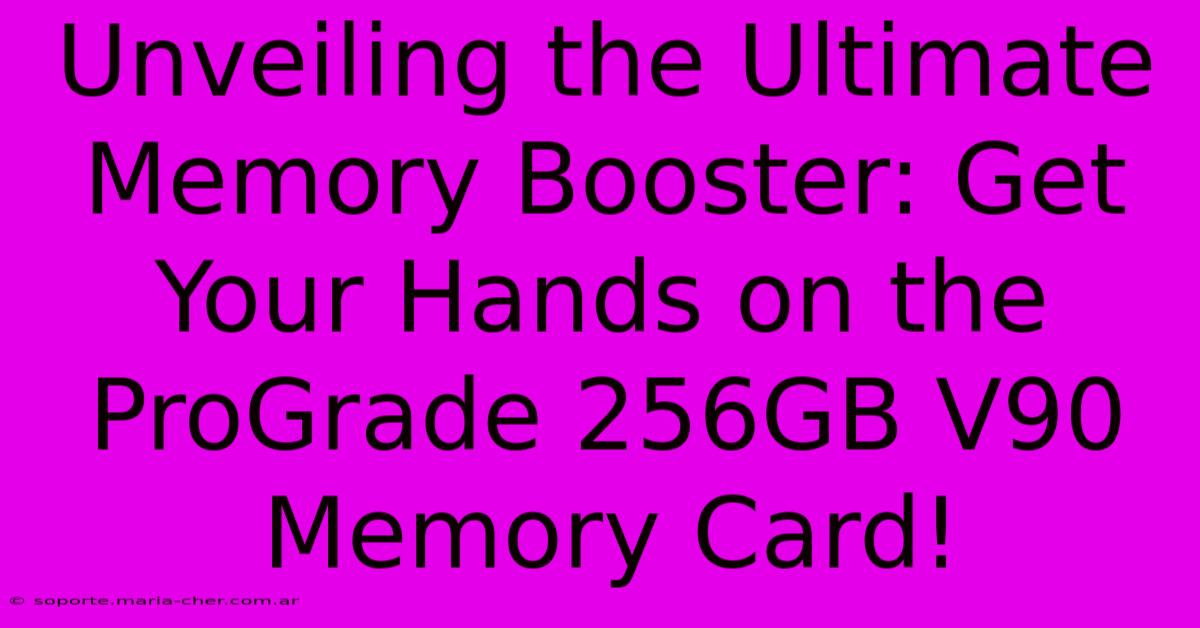 Unveiling The Ultimate Memory Booster: Get Your Hands On The ProGrade 256GB V90 Memory Card!