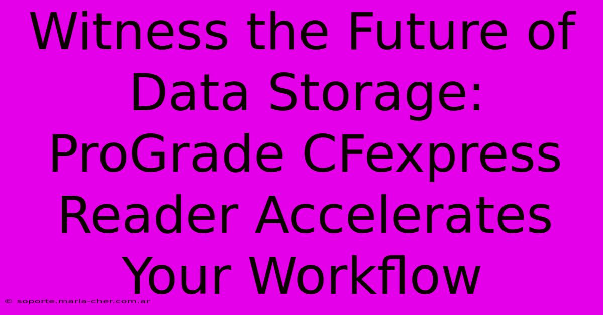 Witness The Future Of Data Storage: ProGrade CFexpress Reader Accelerates Your Workflow