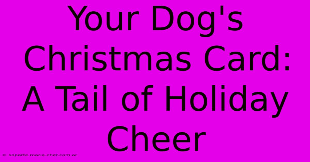 Your Dog's Christmas Card: A Tail Of Holiday Cheer